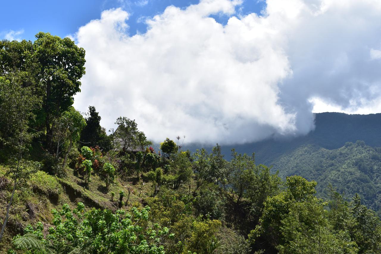 Hiwang Native House Inn & Viewdeck Banaue Eksteriør billede