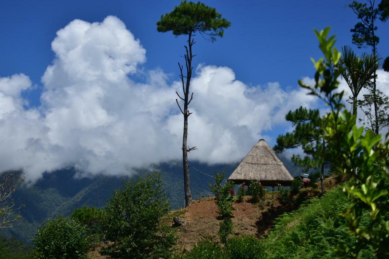 Hiwang Native House Inn & Viewdeck Banaue Eksteriør billede